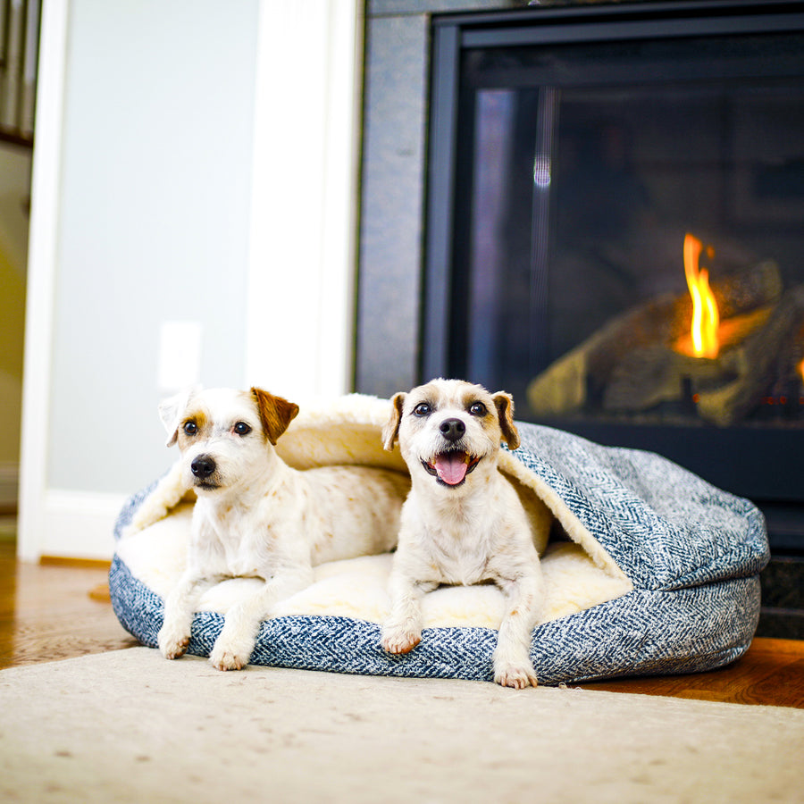 Cozy Cave - Round - Show Dog