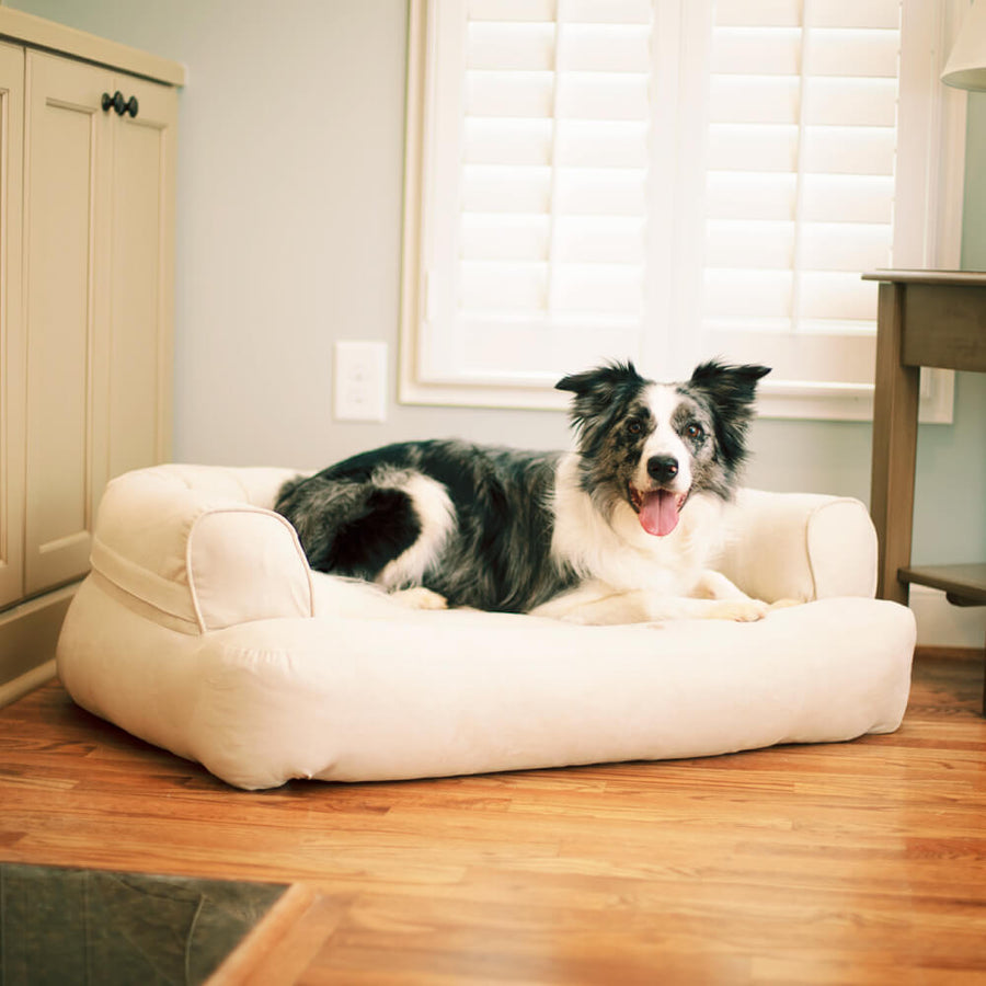 Snoozer-Pet-Products-Luxury-Sleeper-Sofa