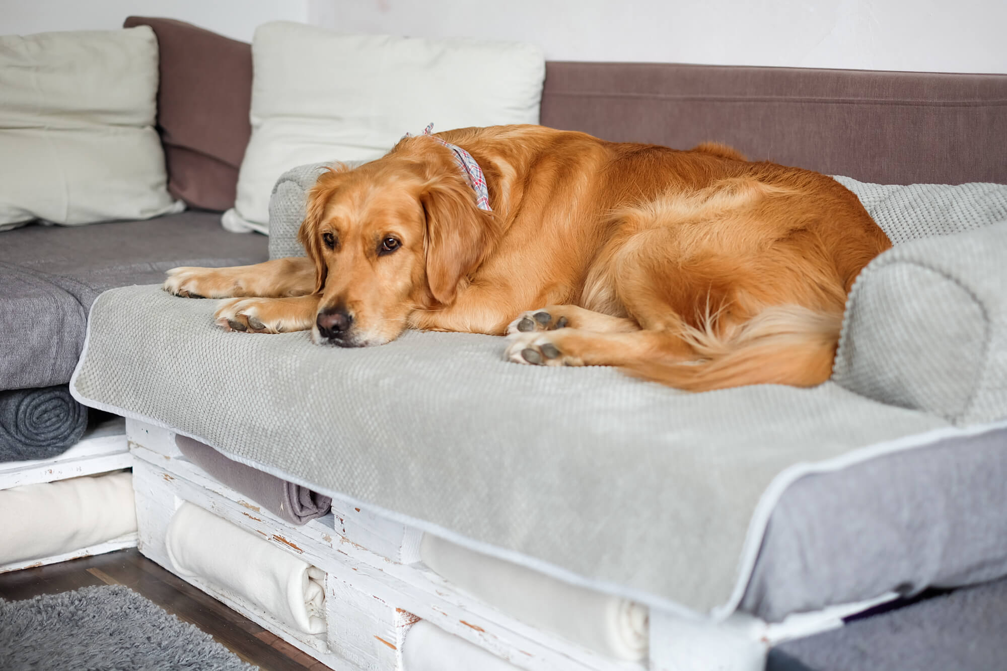 Snoozer Bolstered Sofa Throw – Hondenbed voor op de bank – Storm